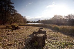 newstead abbey image 23 sm.jpg